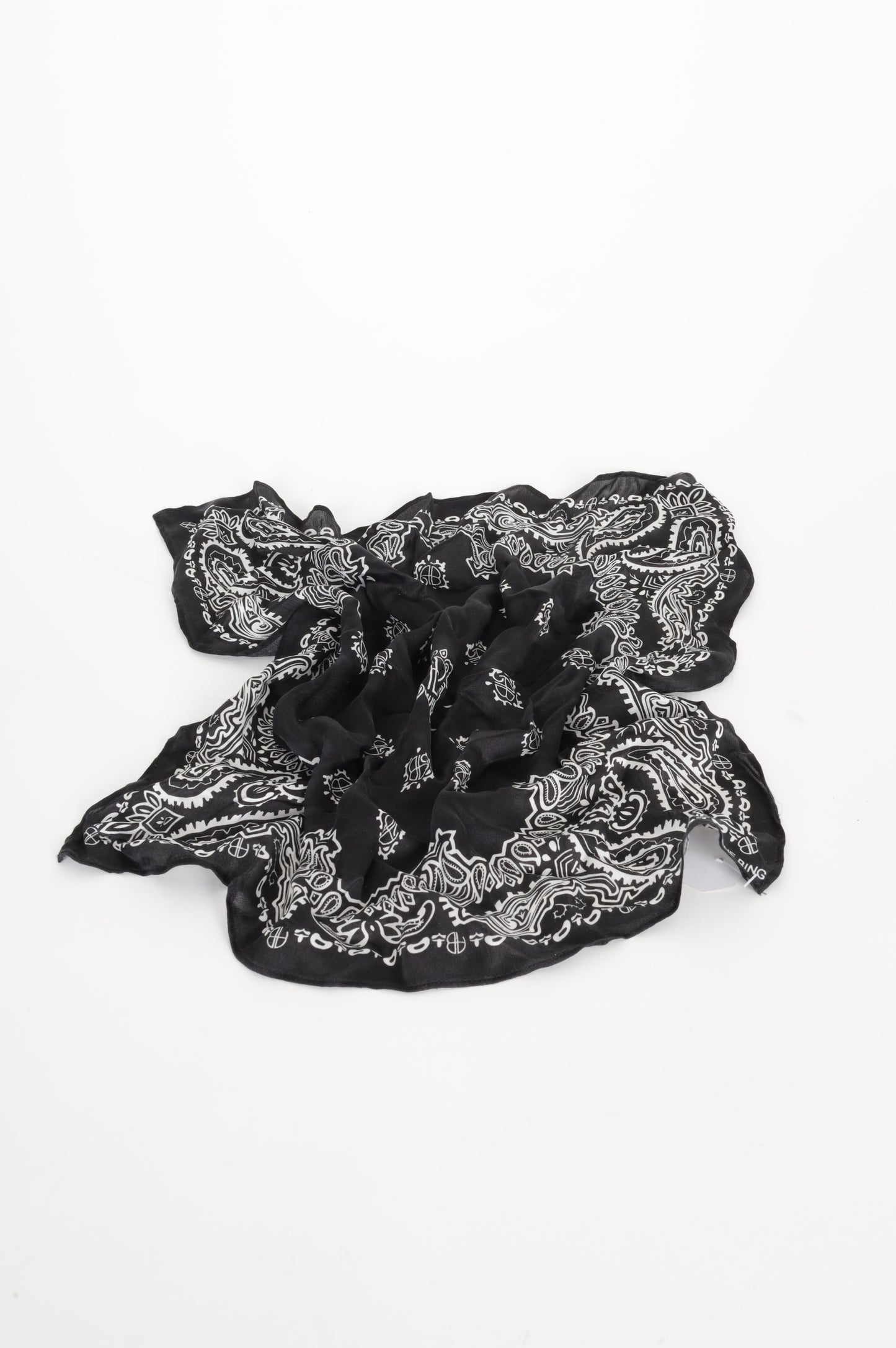 Anine Bing Womens Black Accessory Size O/S